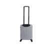 Mała walizka Discovery Reptile srebrna 30l