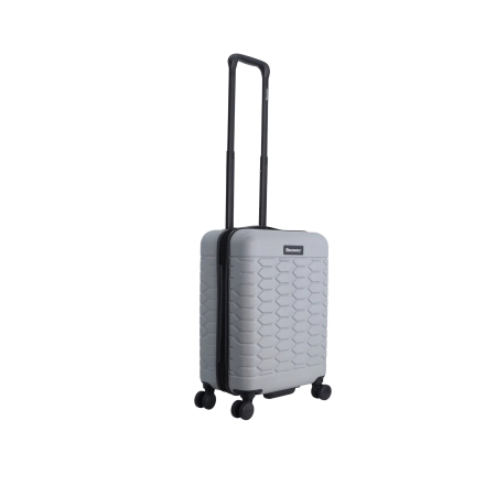 Mała walizka Discovery Reptile srebrna 30l